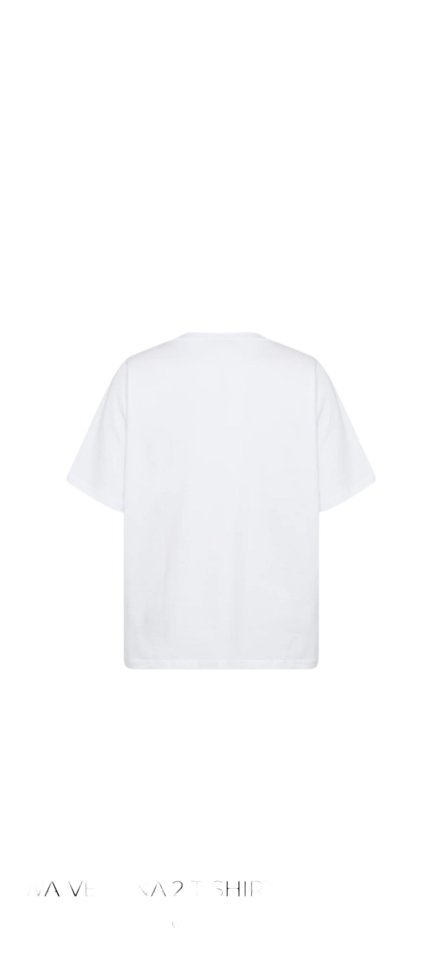 Wasabi Concept Verona 2